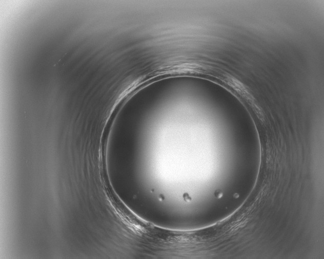 X0000060231234200510311539