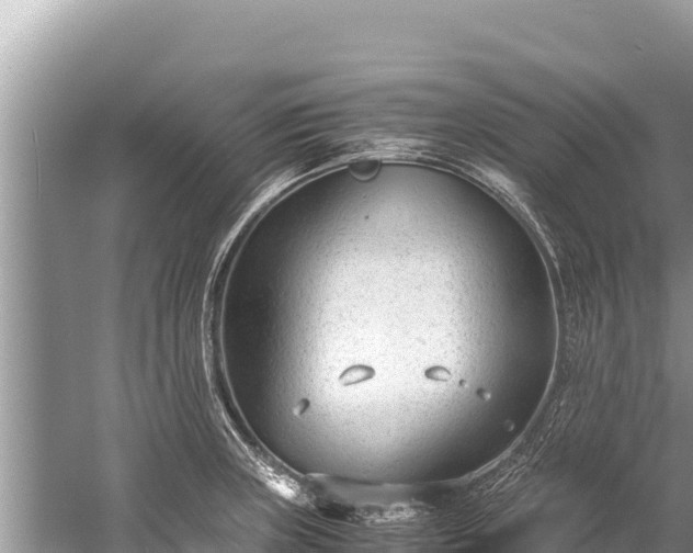 X0000060231235200510311539