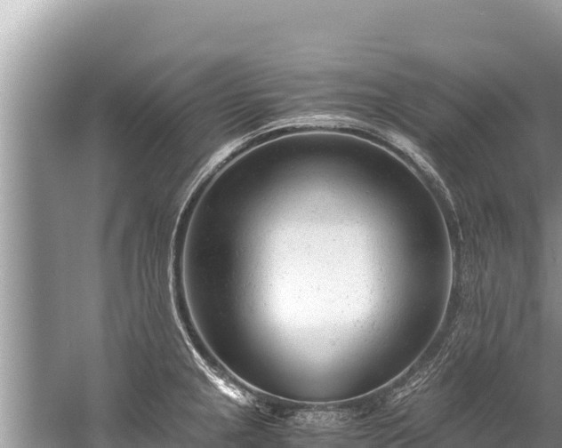 X0000060231237200510311539