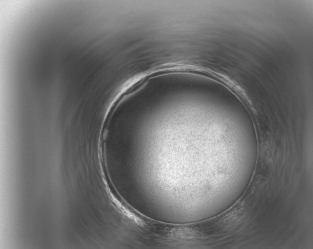 X0000060231239200510311539