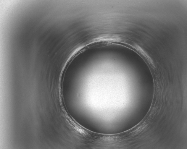 X0000060231240200510311539