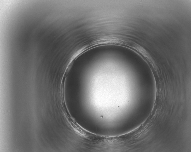 X0000060231242200510311539