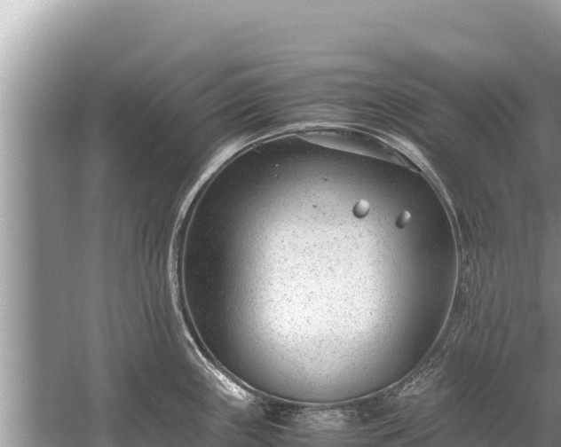 X0000060231243200510311539