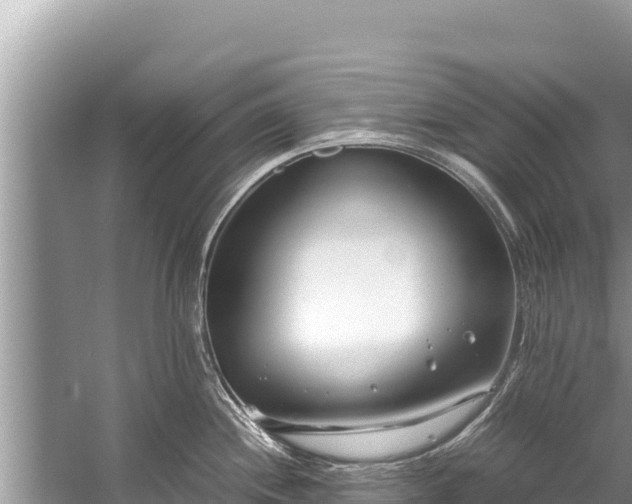 X0000060231244200510311539