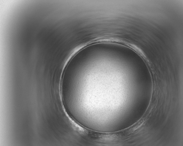 X0000060231247200510311539