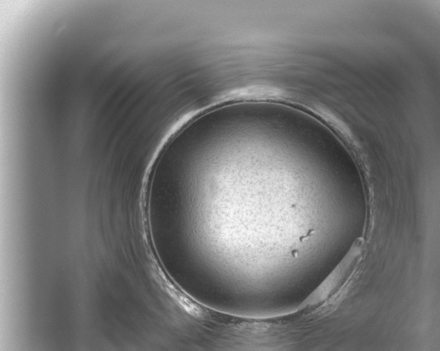 X0000060231248200510311539