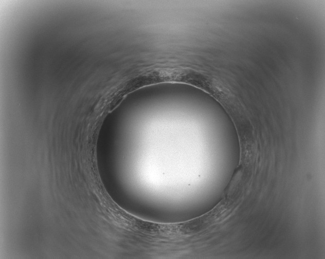 X0000060231249200510311538