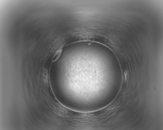 X0000060231251200510311538