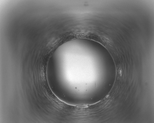 X0000060231252200510311538