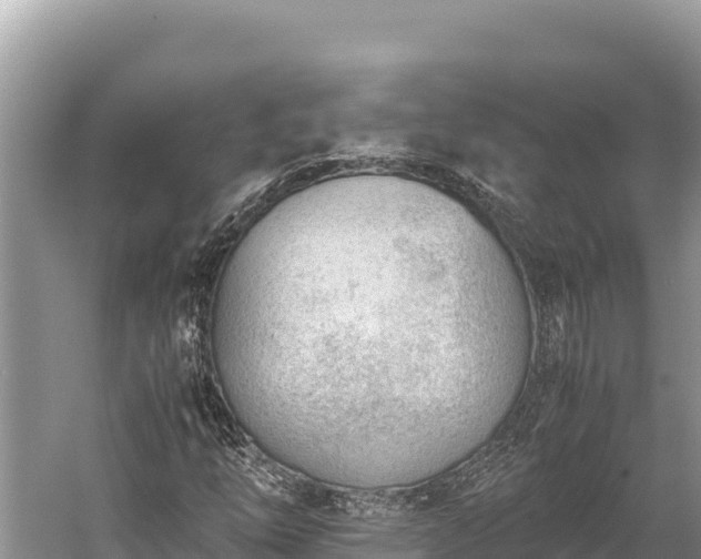 X0000060231254200510311538