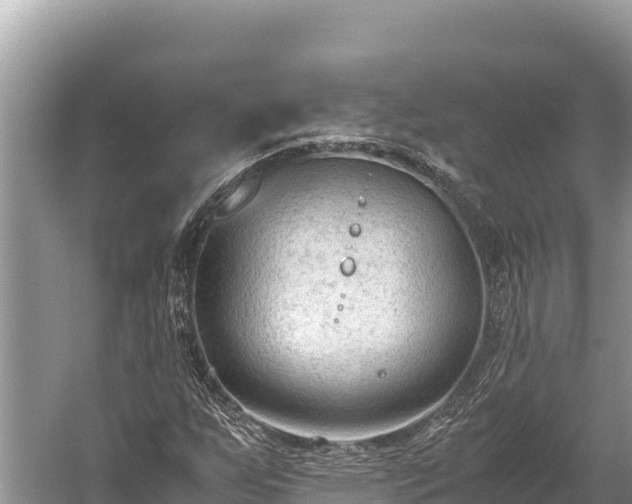 X0000060231255200510311538