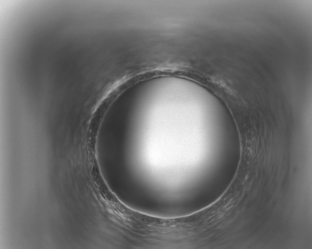 X0000060231256200510311538