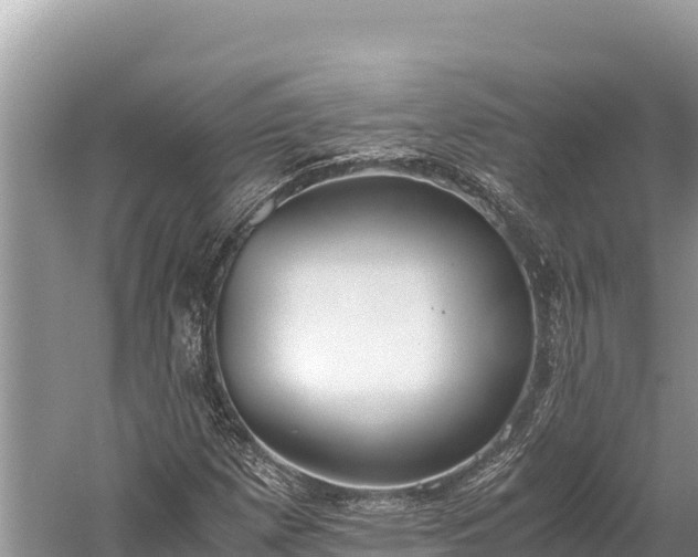 X0000060231257200510311538