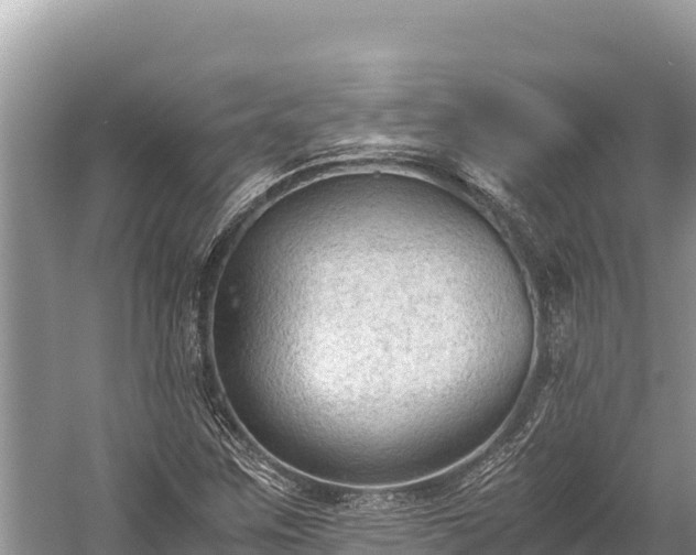 X0000060231259200510311538