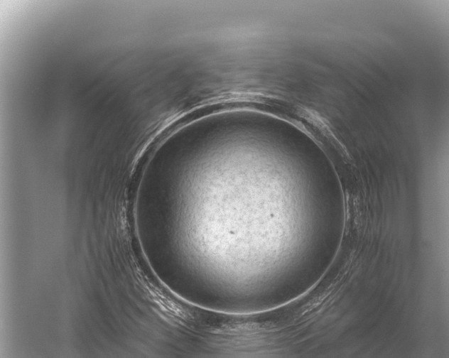 X0000060231260200510311538