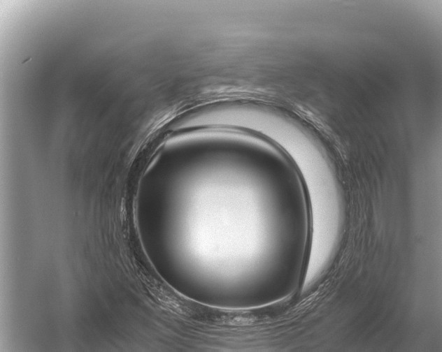 X0000060231261200510311538