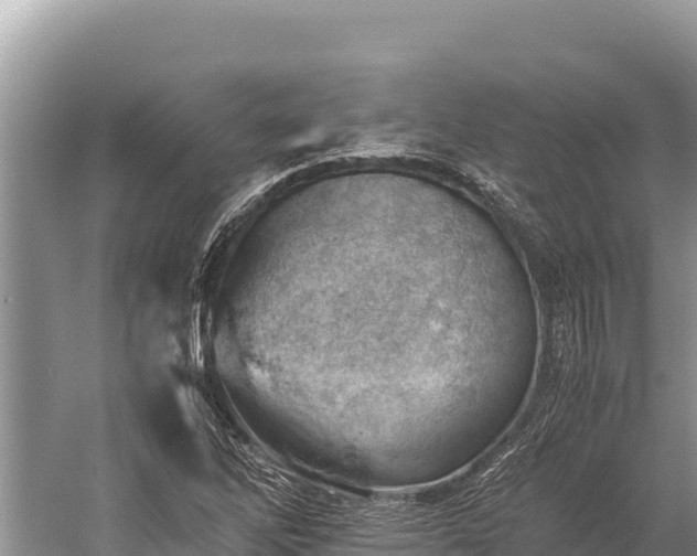 X0000060231262200510311538