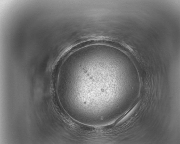 X0000060231263200510311538