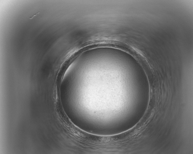 X0000060231267200510311538