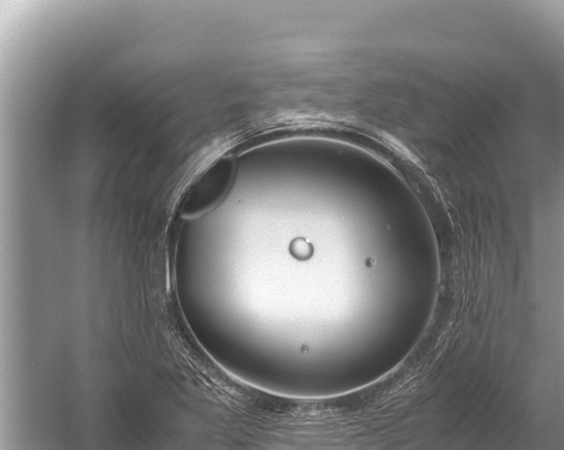 X0000060231269200510311538