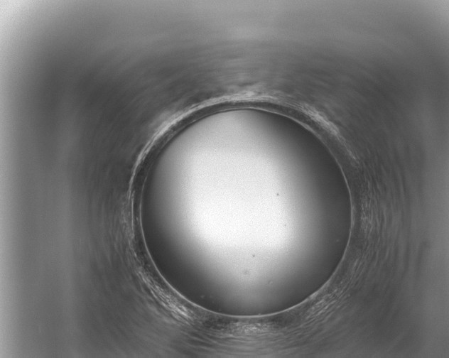 X0000060231270200510311538