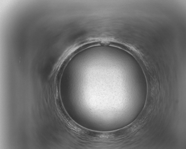 X0000060231271200510311538