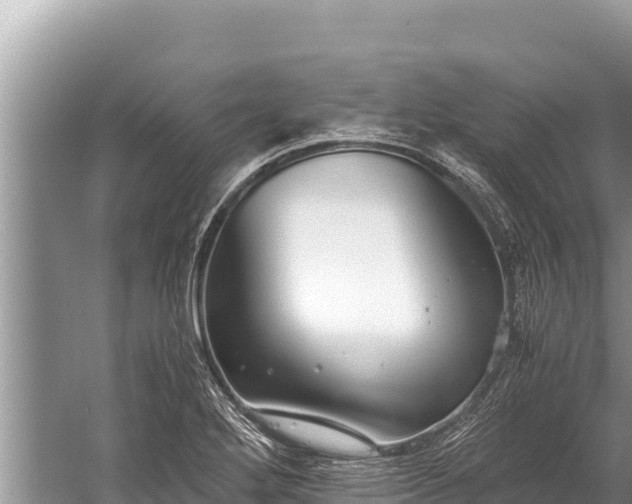 X0000060231272200510311538