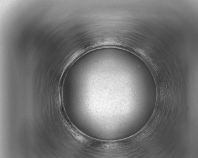 X0000060231274200510311538