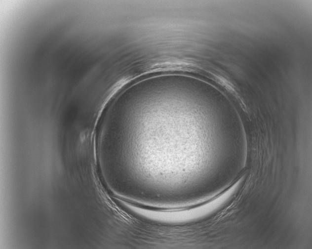 X0000060231275200510311538