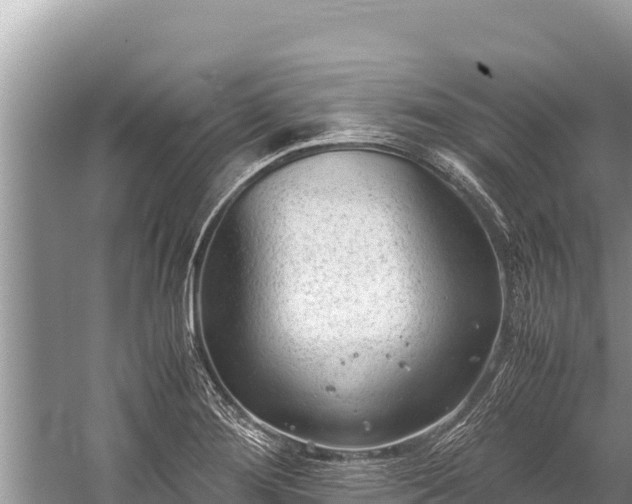 X0000060231276200510311538