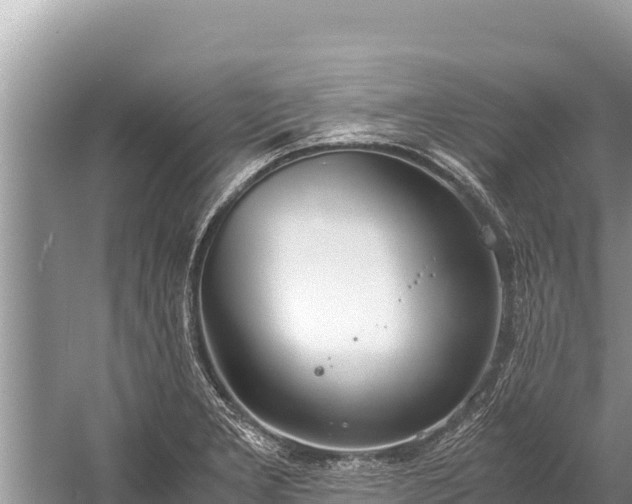 X0000060231277200510311538