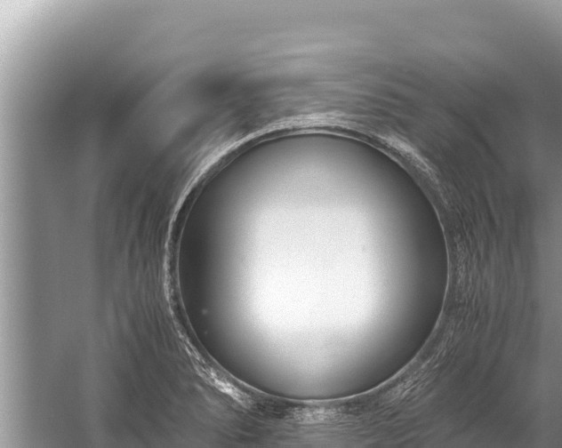 X0000060231278200510311538