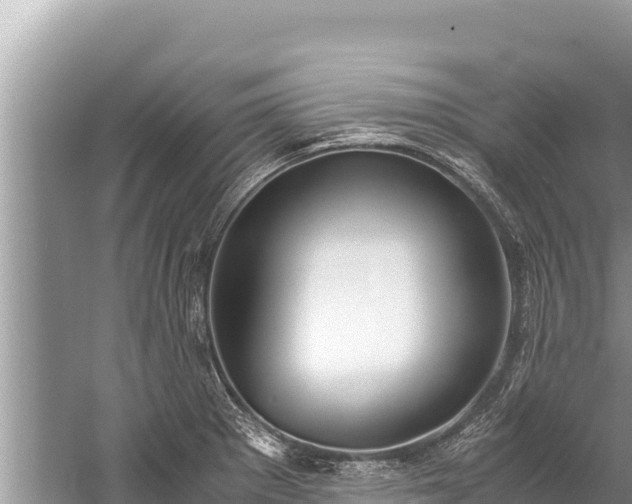 X0000060231281200510311538