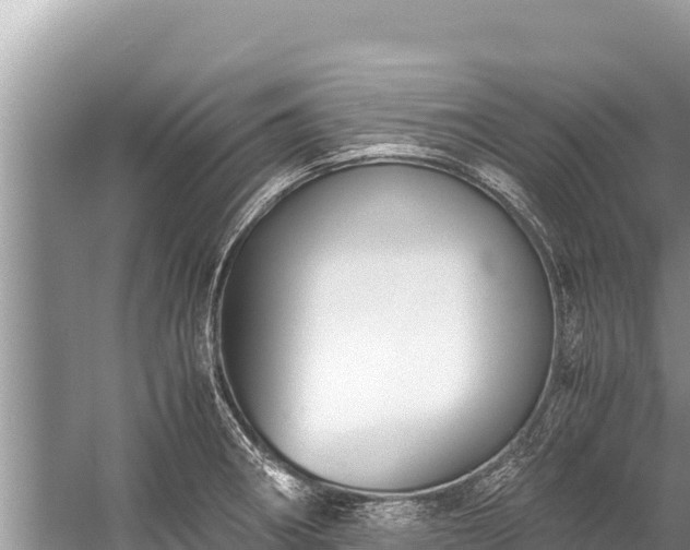 X0000060231282200510311538