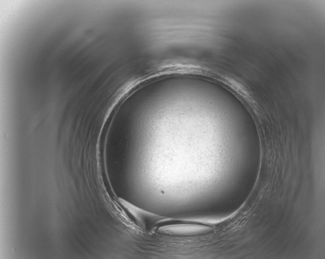 X0000060231283200510311538