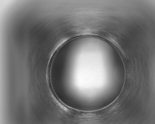 X0000060231285200510311538