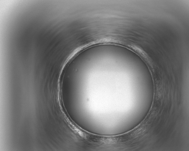 X0000060231286200510311538