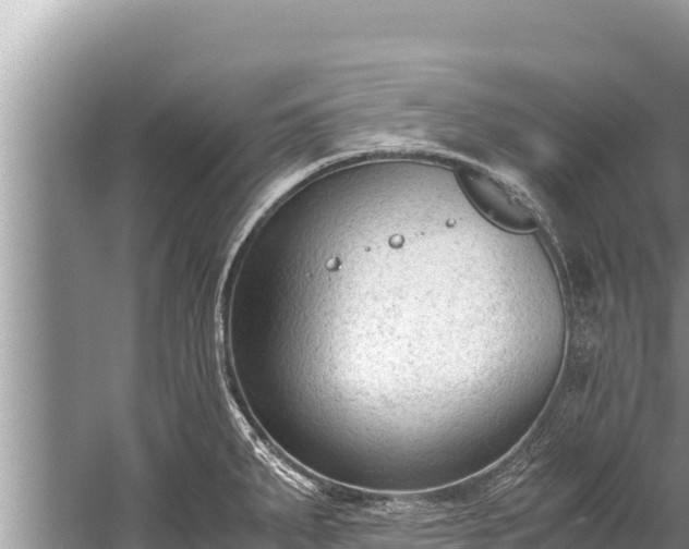 X0000060231287200510311538