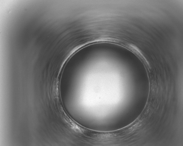 X0000060231292200510311538