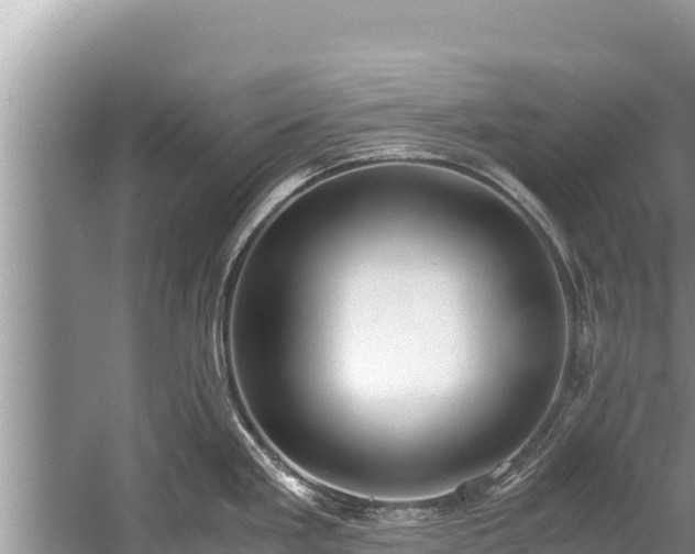 X0000060231293200510311538