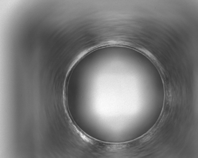 X0000060231294200510311538