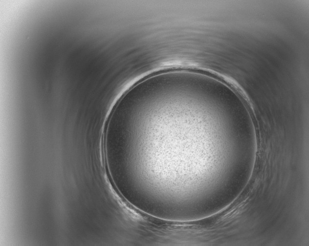 X0000060231295200510311538