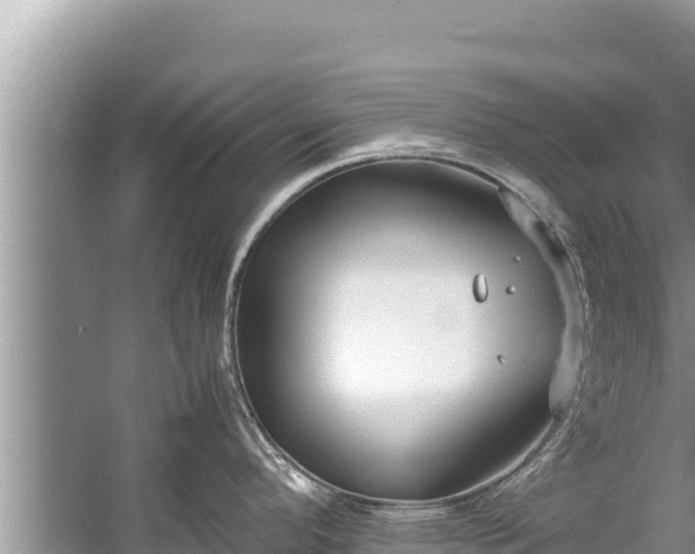 X0000060231296200510311538