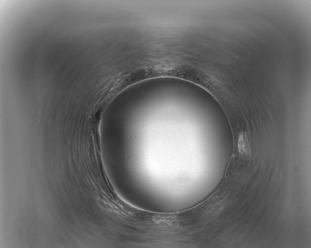 X0000060231299200510311537