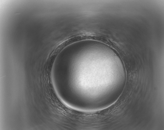 X0000060231303200510311537