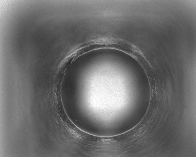 X0000060231304200510311537