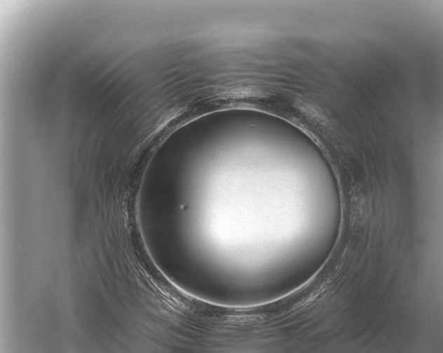 X0000060231305200510311537