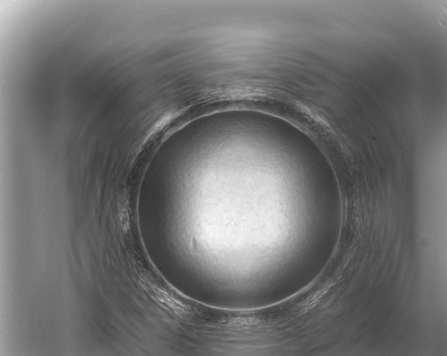 X0000060231306200510311537