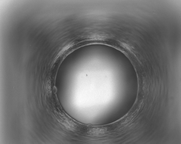 X0000060231307200510311537