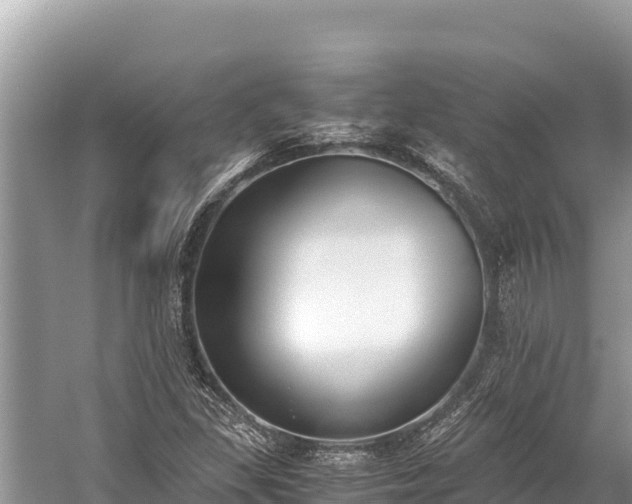 X0000060231309200510311537